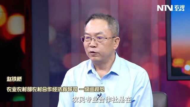 什么是农民专业合作社