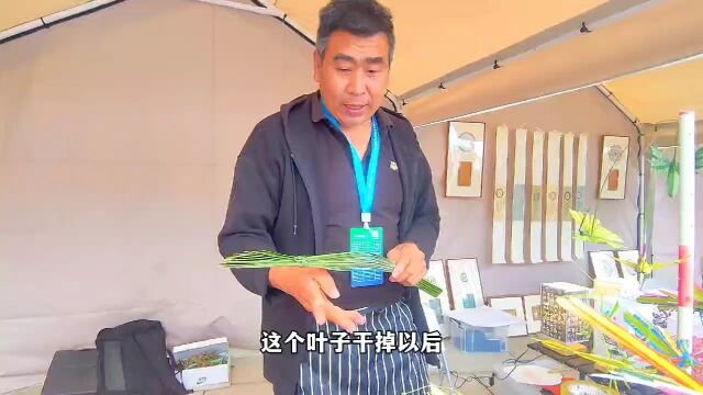 巧手匠心:驻马店传统非遗棕编工艺,棕叶编织成80余种动物,精致