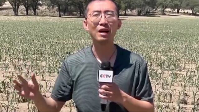 墨西哥局地气温达45℃,农作物受影响恐减产