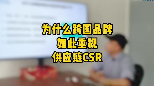 为什么跨国品牌如此重视供应链CSR?