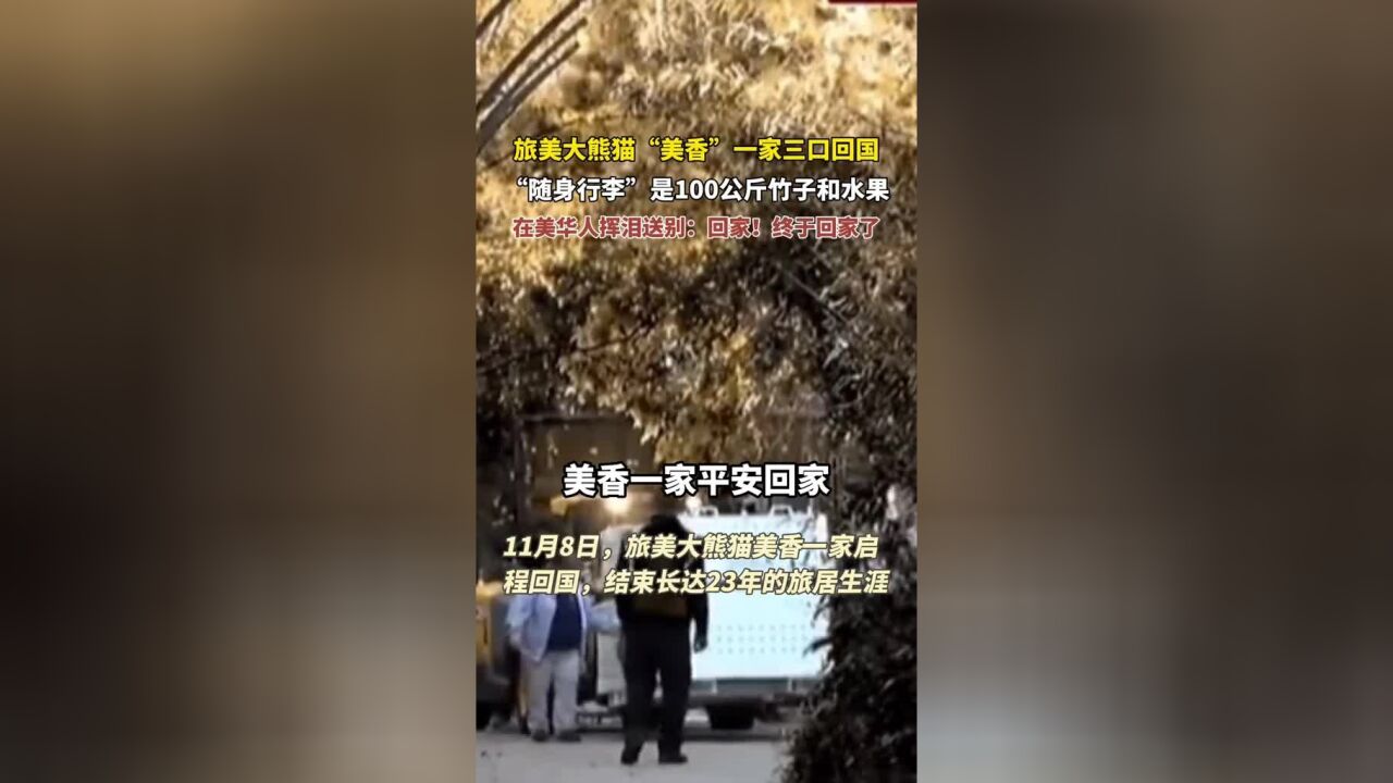 在美华人沿路挥泪送美香一家回家,场面不要太好哭!