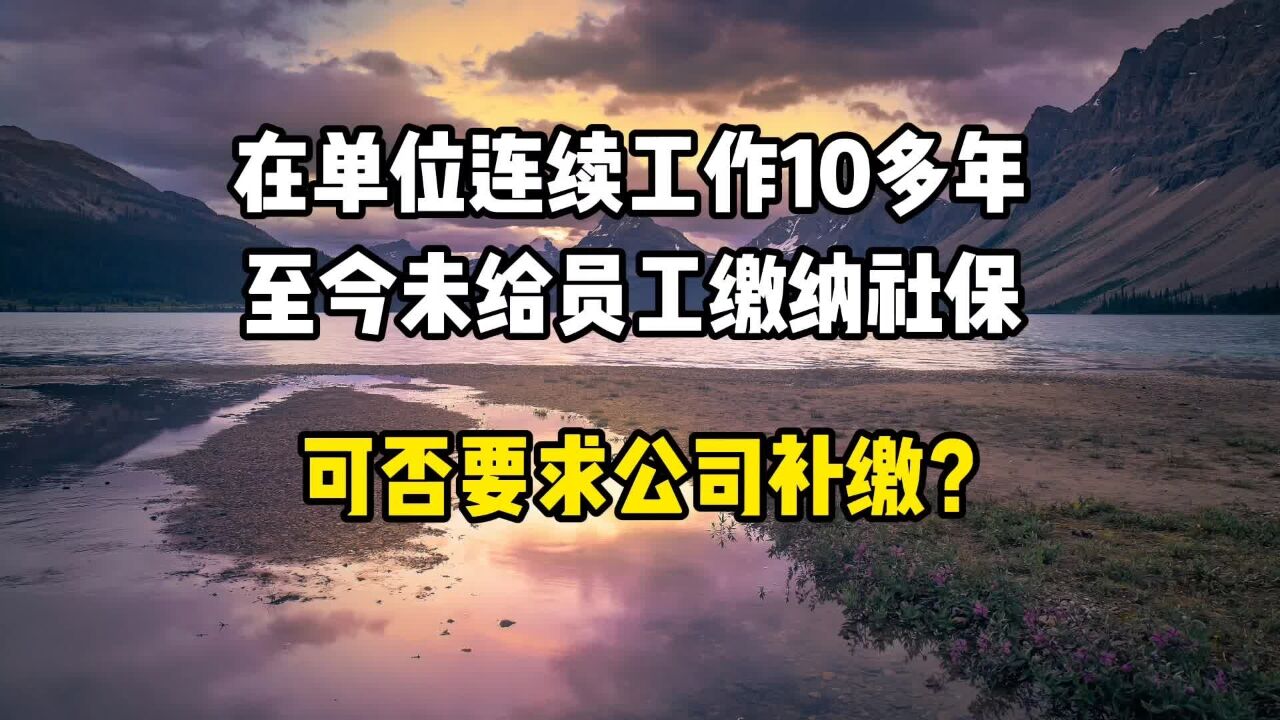 在单位连续工作10多年,至今未给员工缴纳社保,可否要求公司补交