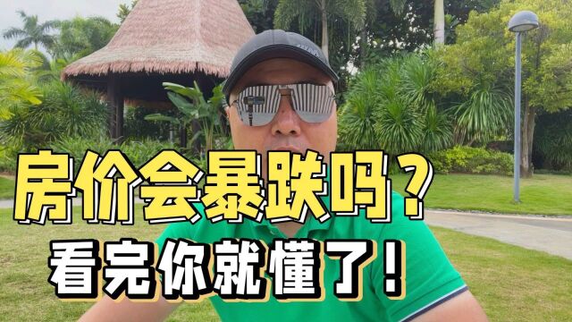 房价会跌吗,看完你就懂了!