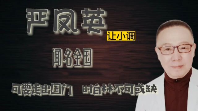 严凤英让一个名不见经传的小调闻名全国,可走出国门,时白林不可或缺.