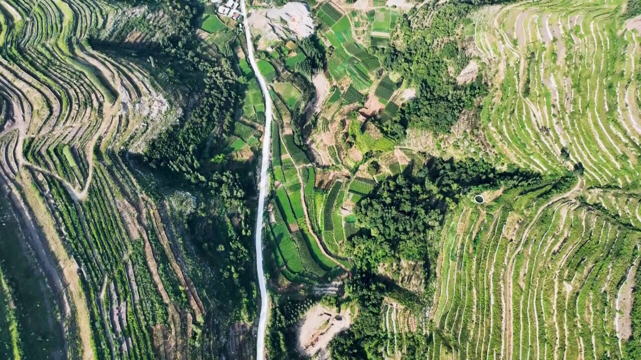 枣庄山地梯田蜿蜒层叠 “大地指纹”如诗如画