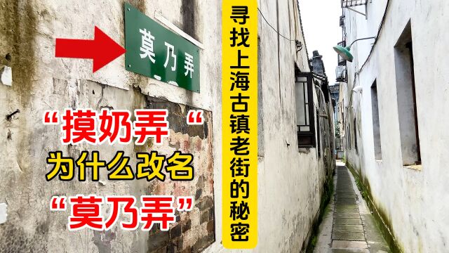 寻找上海古镇老街的“秘密”,“摸奶弄”为什么改名“莫乃弄”?