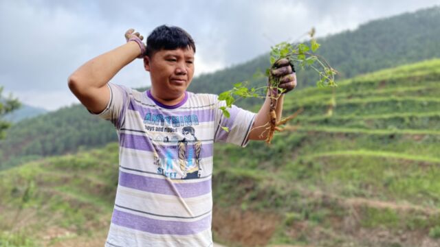 藤大草也大,挖开就跟着一起出来了,年头货运气不错哦