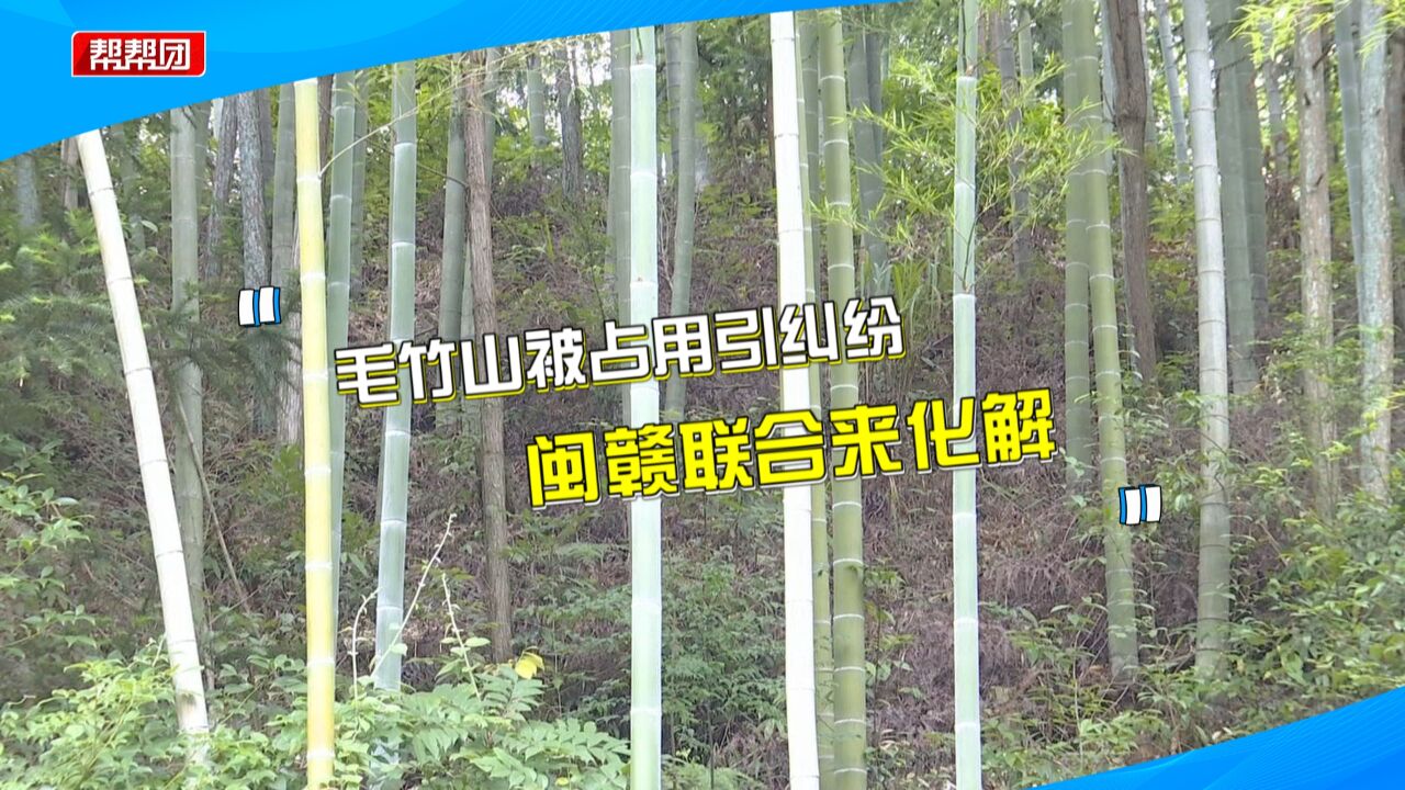 村民承包毛竹山 多次被邻省农户占用 闽赣调解力量联动化解纠纷