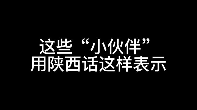 这些“小伙伴”用陕西话这样表示