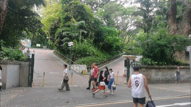 香港城区中心的一座公园——九龙公园