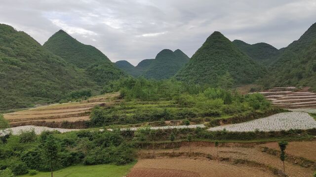 山河重庆堪察地形“犀牛望月”左右砂手护卫,水聚明堂,朝案层层