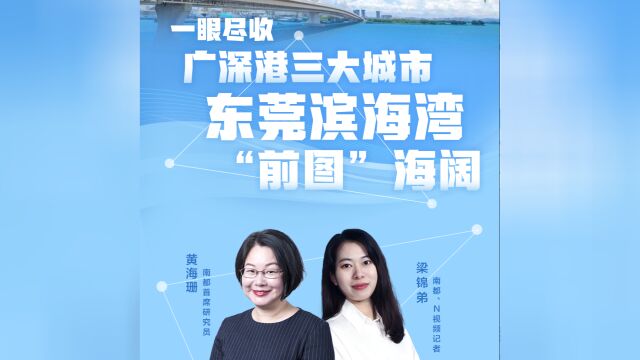 一眼尽收广深港三座城市!东莞滨海湾新区“前图”海阔