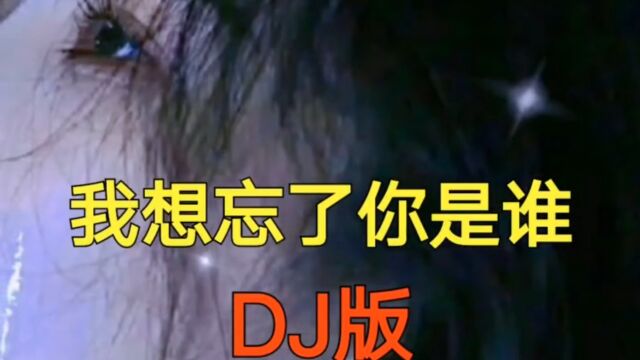 《我想忘了你是谁》DJ