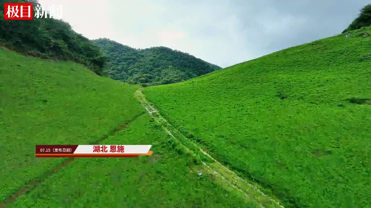 【视频】光谷ⷮŠ恩施乡村振兴产业合作③|“中国板党之乡”有了现代产业园