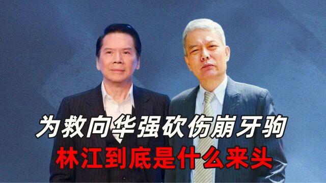 为救向华强砍伤崩牙驹,林江到底是什么来头?