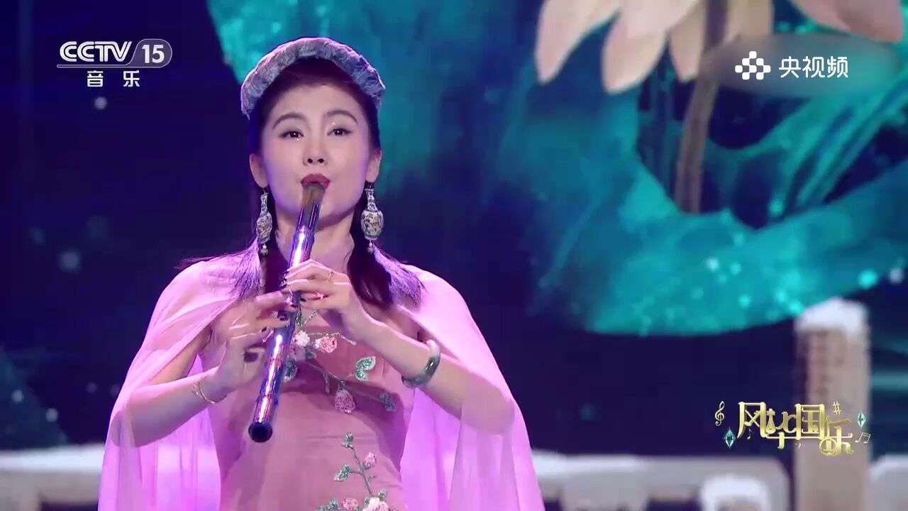 如痴如醉,何谐演奏《如梦令》,音乐如梦,心之引领