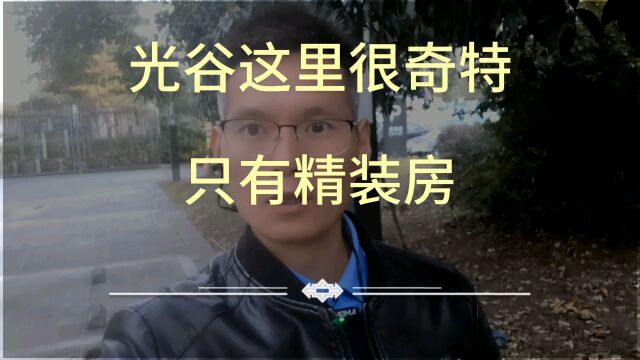 光谷南如何买房?这里还真好卖!