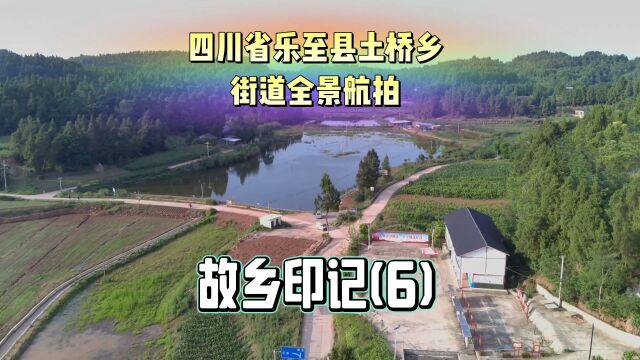 四川省乐至县洄澜镇土桥乡街道全景航拍: 故乡印记(6)