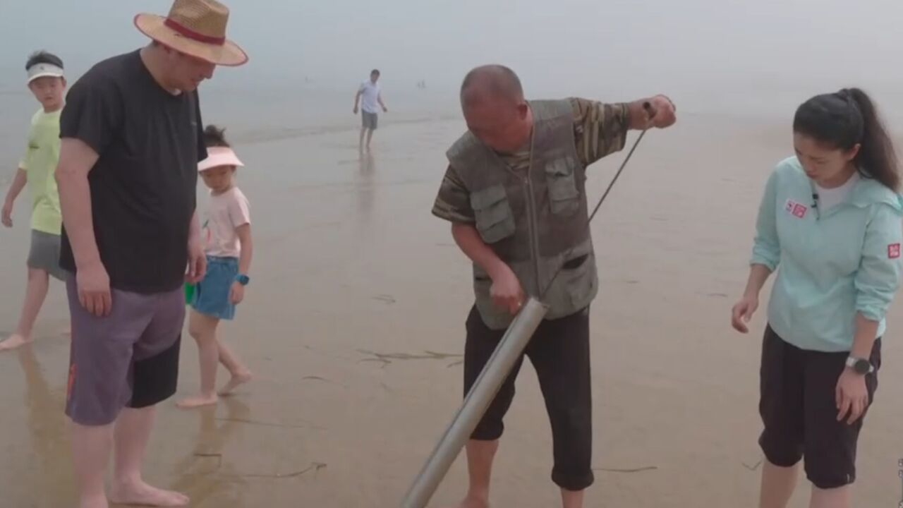 海肠在山东沿海地区的食用历史非常悠久,是鲁菜中常用的海鲜原料