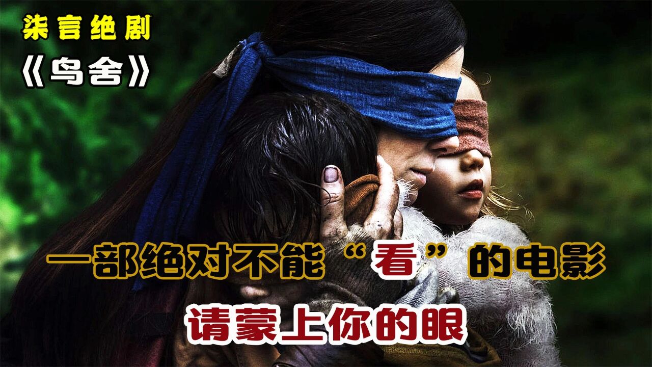 一部绝对不能“看”的电影,请蒙上你的眼!——《鸟舍》