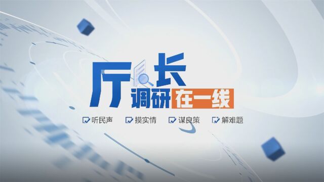 厅长调研在一线 | 孙民生:建好“侨”特色平台 打造聚才引智“强磁场”