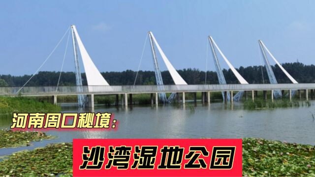 河南周口秘境:沙河湾湿地公园