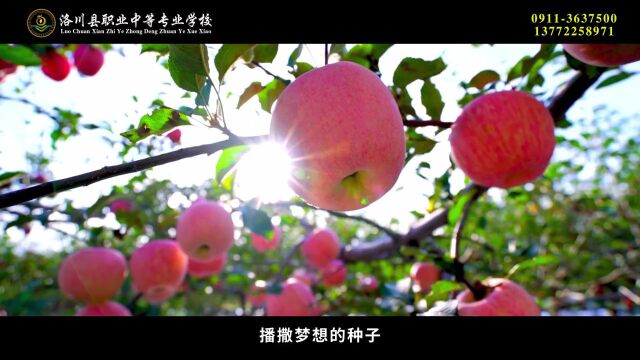 【聚焦“三个年”ⷧœ‹作风】洛川供电公司:优化“三零+充电桩”服务 2天解决40户居民充电难题