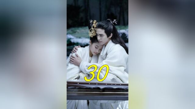 第30集 女将军独闯皇宫,以一敌百 #古装电视剧 #绝世甜剧 #热剧推荐 #凤囚凰