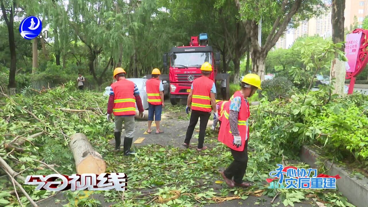 绶溪公园: 清理倒伏树木 早日恢复开园