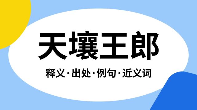 “天壤王郎”是什么意思?