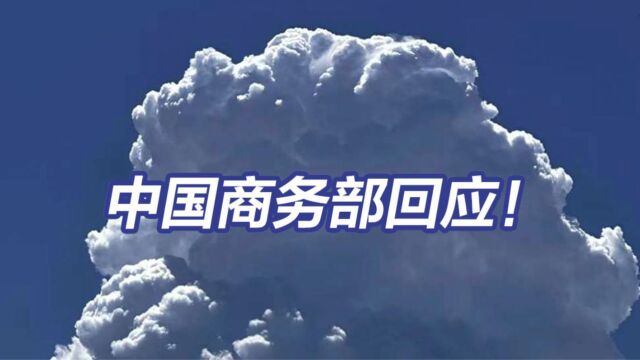 中国商务部回应对部分无人机及相关物项实施出口管制