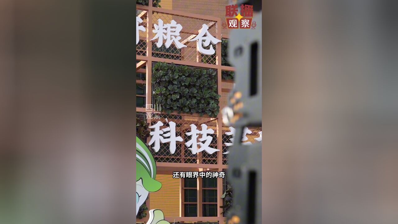 联播观察丨欢迎来“彭”派 我是你的“菜”