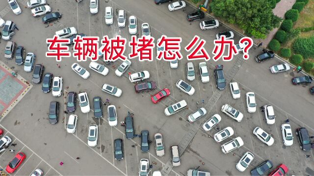 遇到被人堵车,五招即可轻松解决