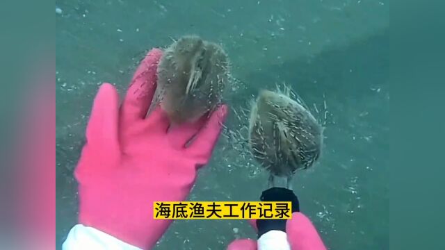 渔民日常生活实拍#渔民日常