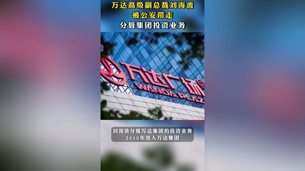 万达集团高级副总裁刘海波,被公安带走.mp4