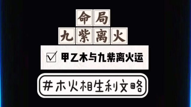 1甲乙木日主遇见九紫离火运:木火通明利文略,奇思妙想造诣高.