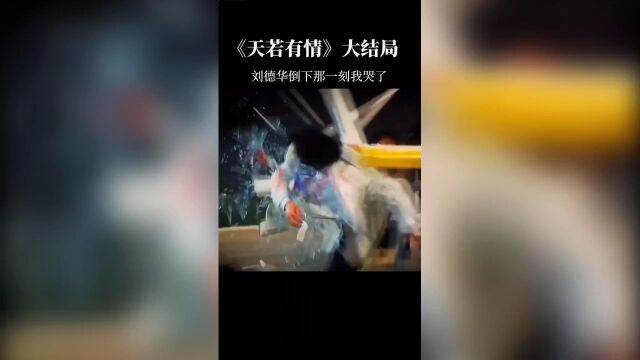 刘德华—天若有情天亦老