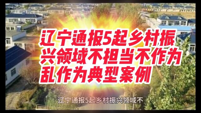 辽宁通报5起乡村振兴领域不担当不作为乱作为典型案例