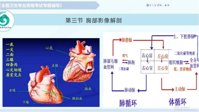 【放射医学(中级)】第七章影像解剖:胸部(下)