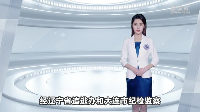 “红通人员”周权回国投案