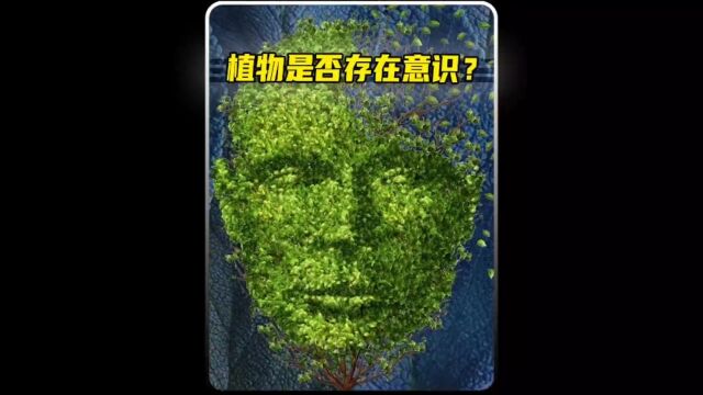 植物是否会存在意识呢?