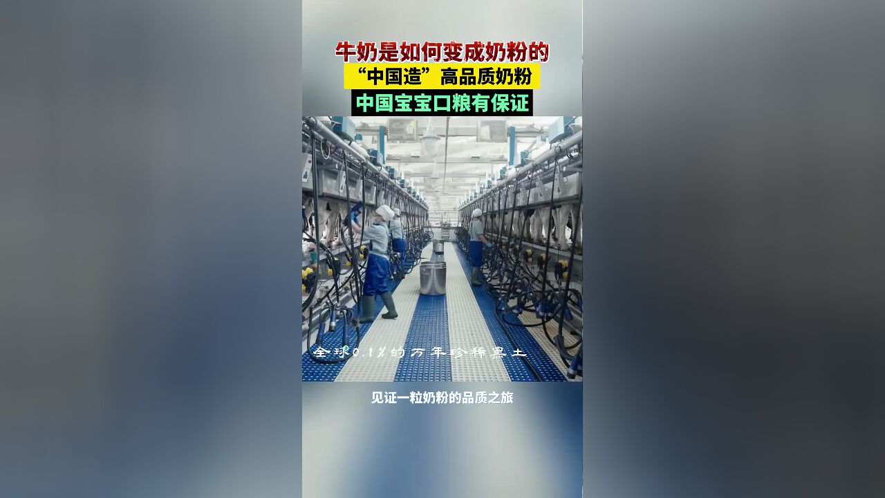 扎根北纬47度酝酿好奶源,“中国造”高品质奶粉哺育中国聪明宝宝.