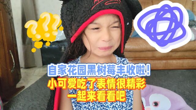 混血萌娃日常vlog 自家花园黑树莓丰收啦!竟然这表情?