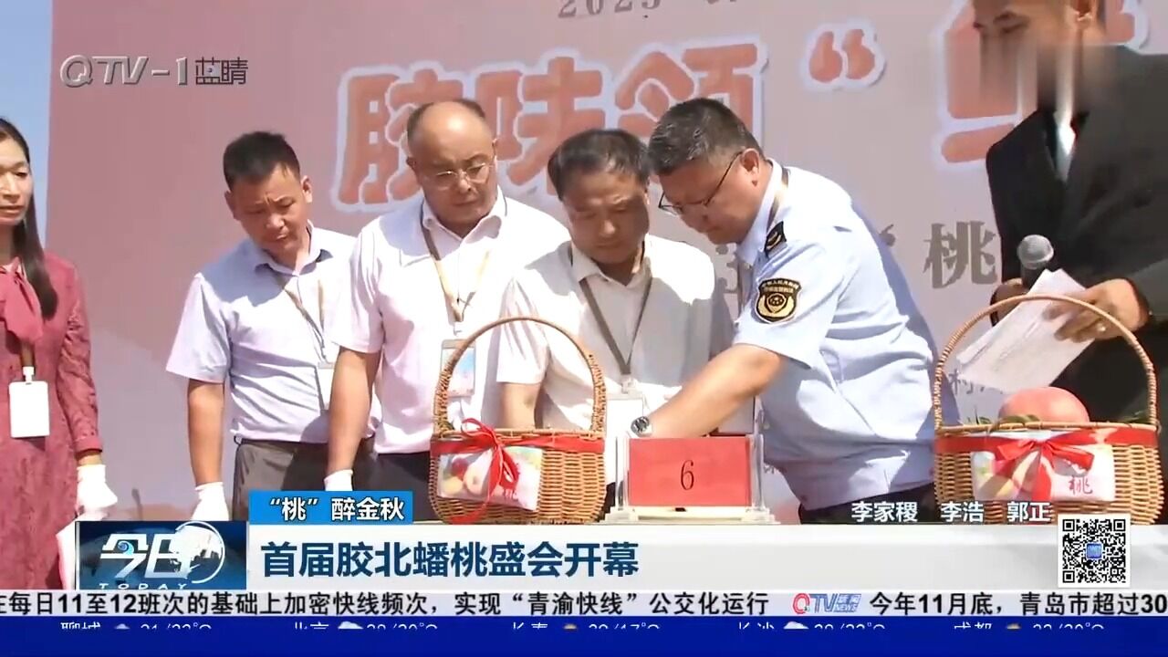 “桃”醉金秋!首届胶北蟠桃盛会开幕,体验丰收喜悦