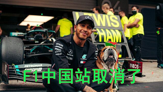 F1中国站是永久取消了吗