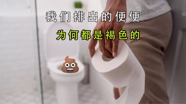 我们排出去的便便为什么是褐色的