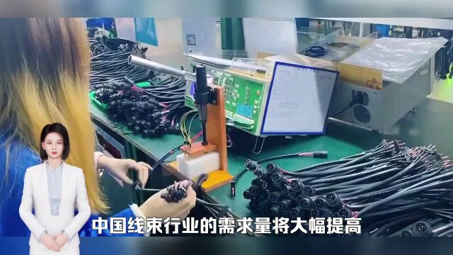 中国线束行业市场现状及未来发展趋势