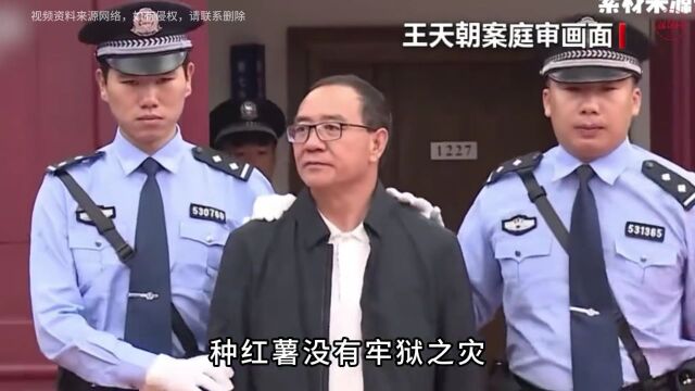 昭萍视界丨 当官不为民做主,回家种红薯没有牢狱之灾