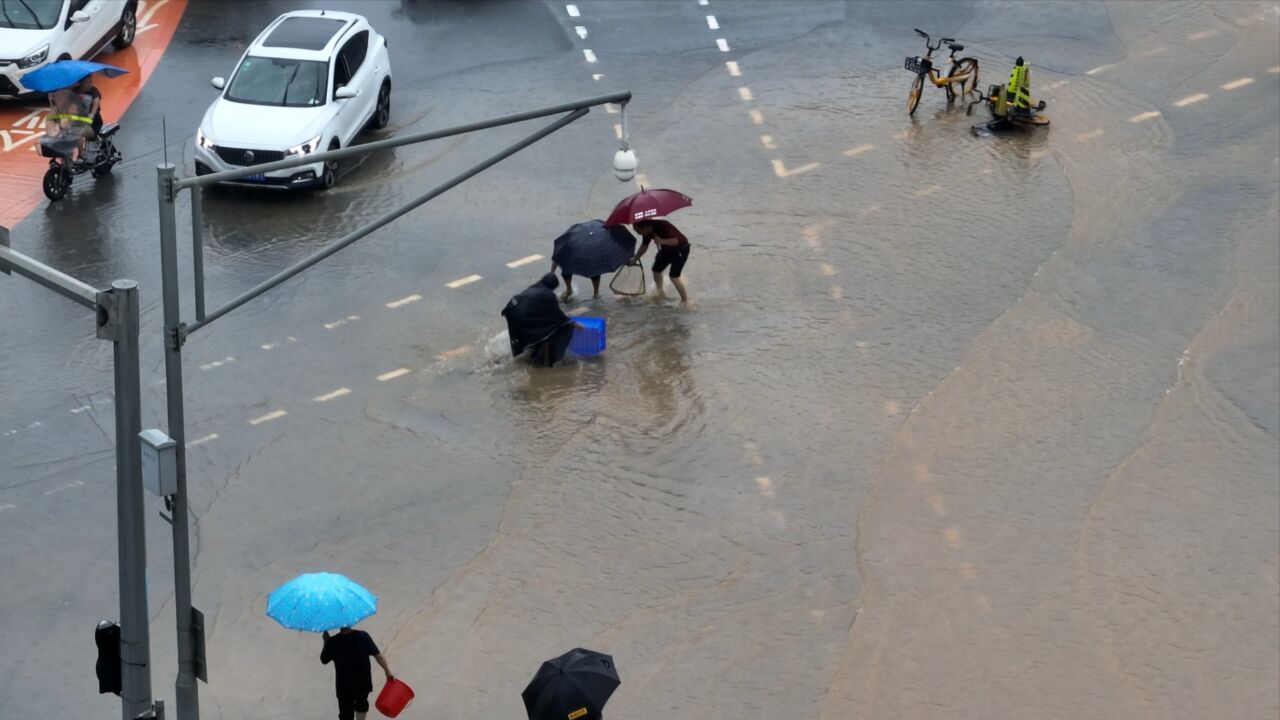 广州暴雨过后市民街头捕鱼,温馨提示:切勿涉险,安全第一