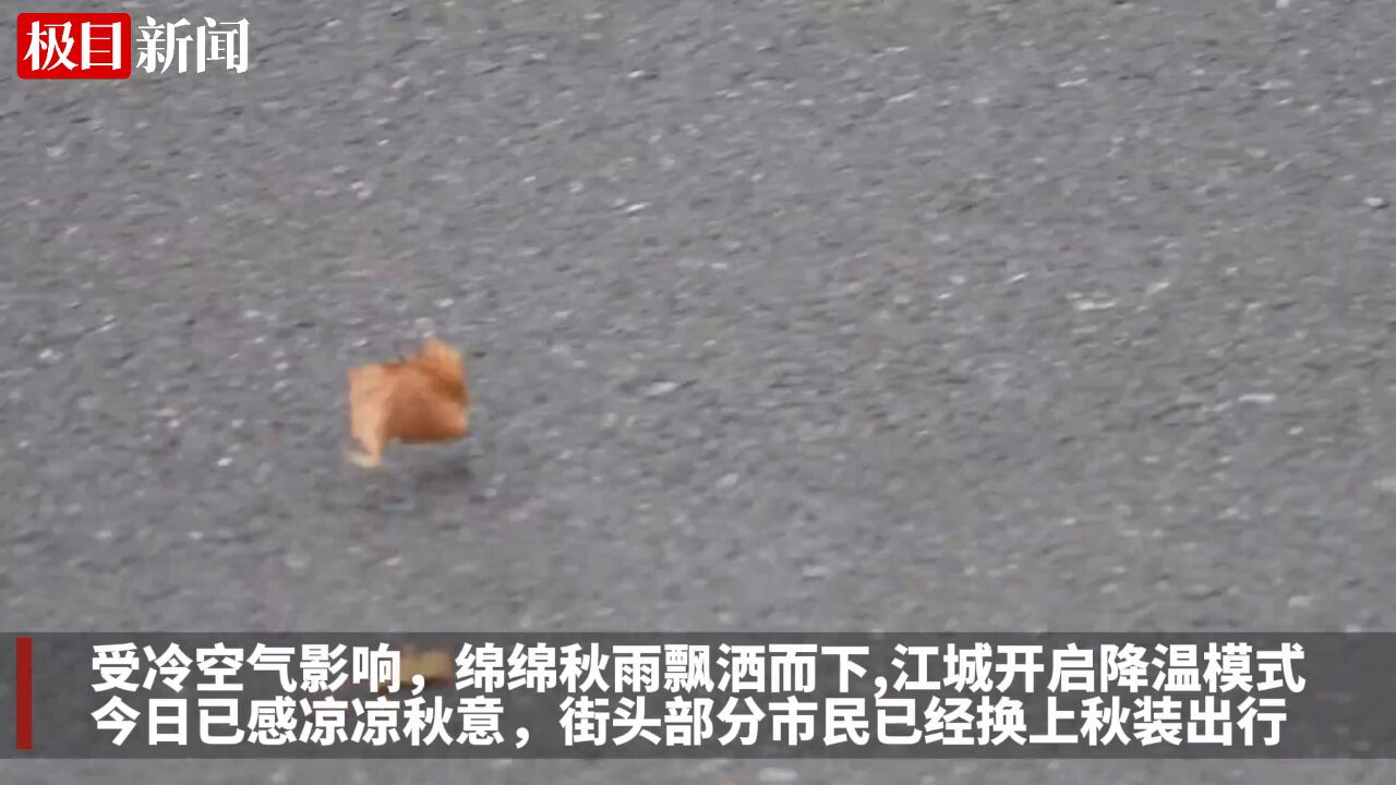 【视频】绵绵秋雨飘洒而下,江城开启降温模式